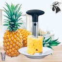 Descorazonador de Pina