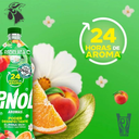Pinol Aro Frutal 828ml