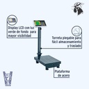 Bascula de 100kg Plegable